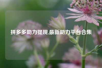 拼多多助力提现,最新助力平台合集