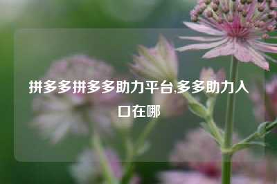 拼多多拼多多助力平台,多多助力入口在哪