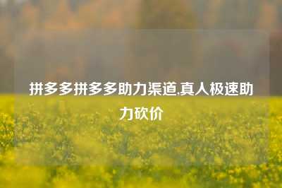 拼多多拼多多助力渠道,真人极速助力砍价