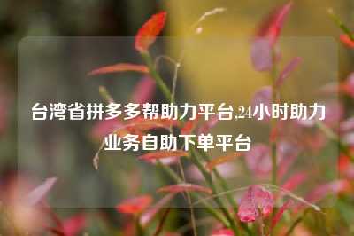 台湾省拼多多帮助力平台,24小时助力业务自助下单平台