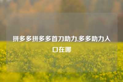 拼多多拼多多首刀助力,多多助力入口在哪