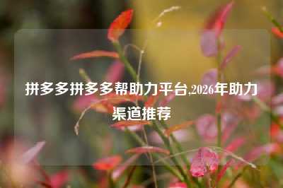 拼多多拼多多帮助力平台,2026年助力渠道推荐