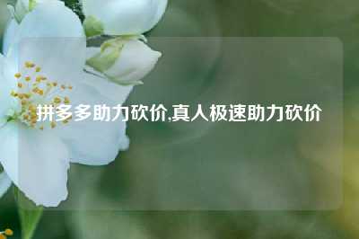 拼多多助力砍价,真人极速助力砍价
