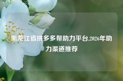 黑龙江省拼多多帮助力平台,2026年助力渠道推荐