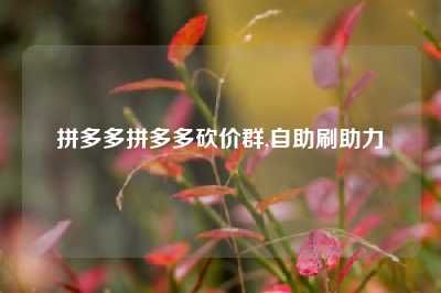拼多多拼多多砍价群,自助刷助力