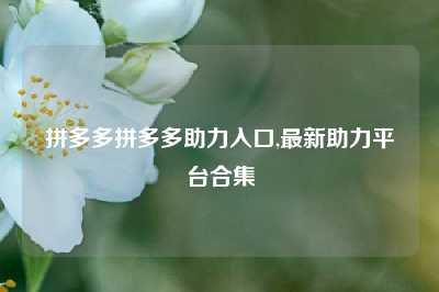 拼多多拼多多助力入口,最新助力平台合集