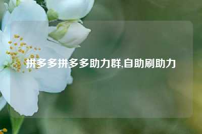 拼多多拼多多助力群,自助刷助力