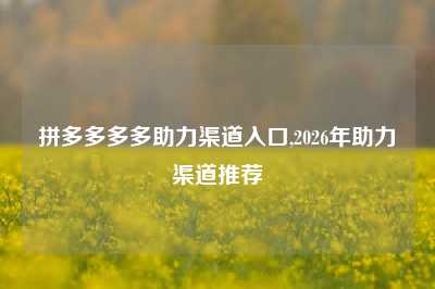 拼多多多多助力渠道入口,2026年助力渠道推荐