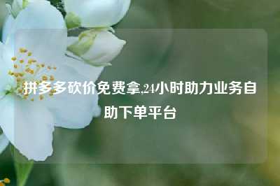 拼多多砍价免费拿,24小时助力业务自助下单平台
