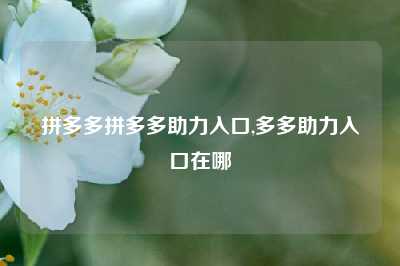 拼多多拼多多助力入口,多多助力入口在哪