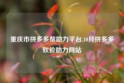 重庆市拼多多帮助力平台,10月拼多多砍价助力网站