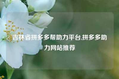 吉林省拼多多帮助力平台,拼多多助力网站推荐