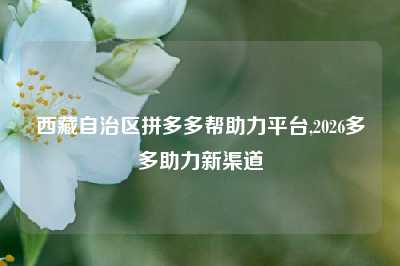 西藏自治区拼多多帮助力平台,2026多多助力新渠道