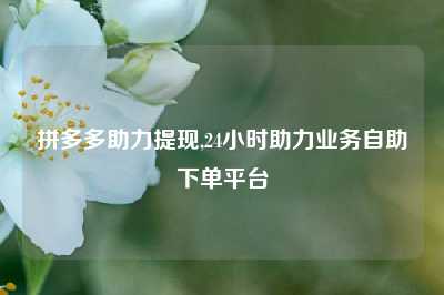 拼多多助力提现,24小时助力业务自助下单平台