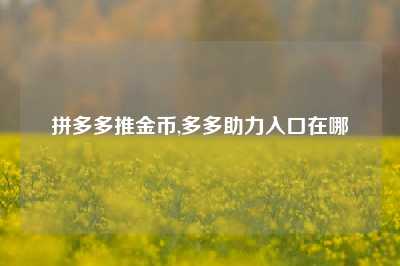 拼多多推金币,多多助力入口在哪