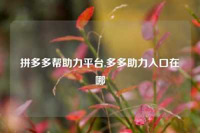 拼多多帮助力平台,多多助力入口在哪