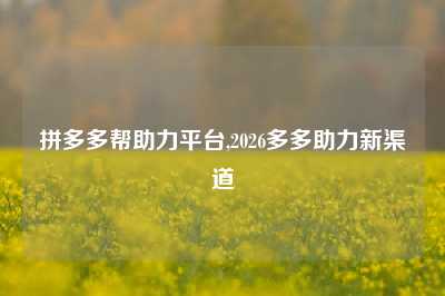 拼多多帮助力平台,2026多多助力新渠道