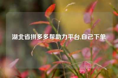湖北省拼多多帮助力平台,自己下单