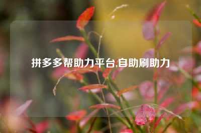 拼多多帮助力平台,自助刷助力