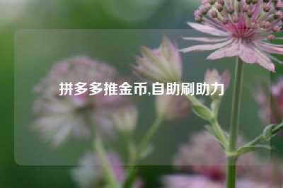拼多多推金币,自助刷助力