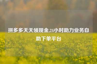 拼多多天天领现金,24小时助力业务自助下单平台