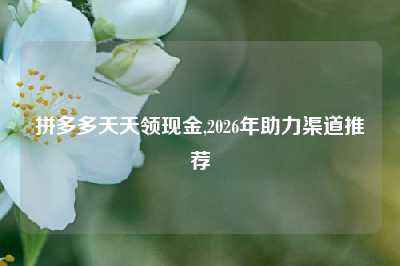 拼多多天天领现金,2026年助力渠道推荐