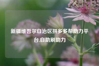新疆维吾尔自治区拼多多帮助力平台,自助刷助力