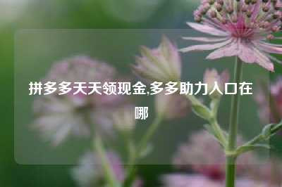 拼多多天天领现金,多多助力入口在哪