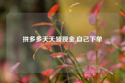 拼多多天天领现金,自己下单