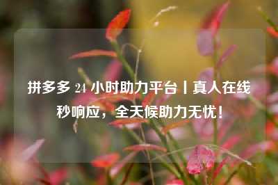 拼多多 24 小时助力平台丨真人在线秒响应,全天候助力无忧!