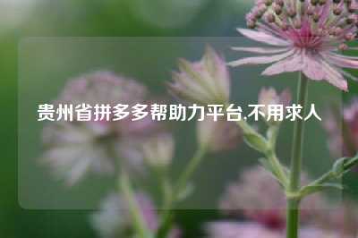 贵州省拼多多帮助力平台,不用求人