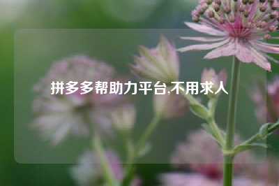拼多多帮助力平台,不用求人