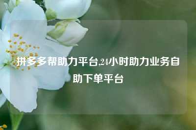 拼多多帮助力平台,24小时助力业务自助下单平台