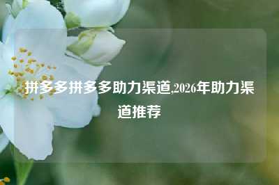 拼多多拼多多助力渠道,2026年助力渠道推荐
