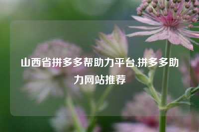 山西省拼多多帮助力平台,拼多多助力网站推荐