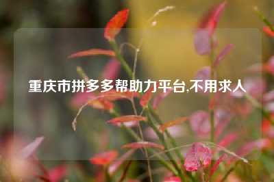 重庆市拼多多帮助力平台,不用求人