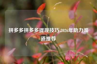 拼多多拼多多提现技巧,2026年助力渠道推荐
