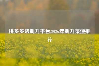 拼多多帮助力平台,2026年助力渠道推荐