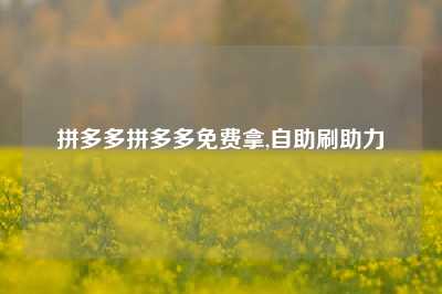 拼多多拼多多免费拿,自助刷助力
