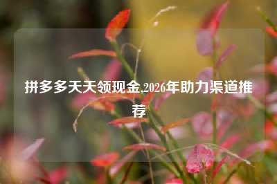 拼多多天天领现金,2026年助力渠道推荐