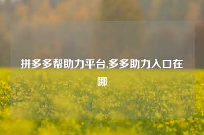 拼多多帮助力平台,多多助力入口在哪
