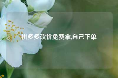 拼多多砍价免费拿,自己下单