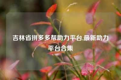 吉林省拼多多帮助力平台,最新助力平台合集
