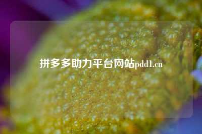 拼多多助力平台网站pdd1.cn